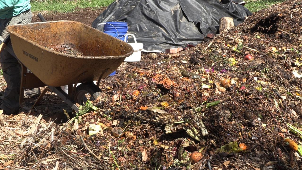 Denver Compost Collective helps grow plants and the community